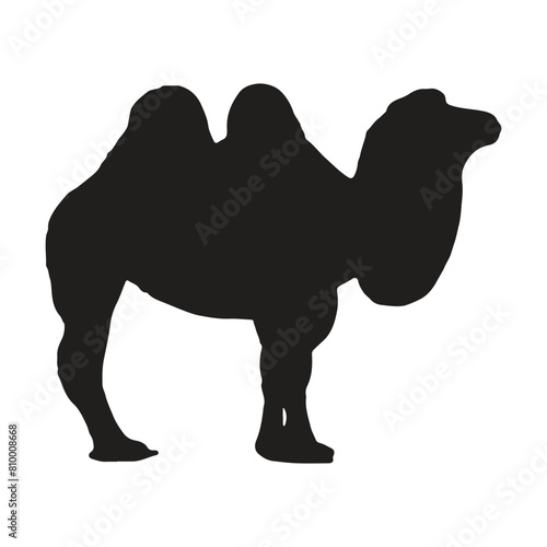 camel with silhouette vector illustration
