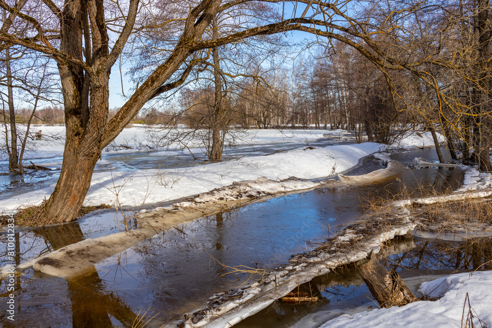 A serene winter scene captures a partially frozen river with a natural bridge of fallen trees, reflecting in the calm water. The surrounding forest with bare branches and patches of grass A serene winter scene captures a partially frozen river with a natural bridge of fallen trees, reflecting in the calm water. The surrounding forest with bare branches and patches of grass