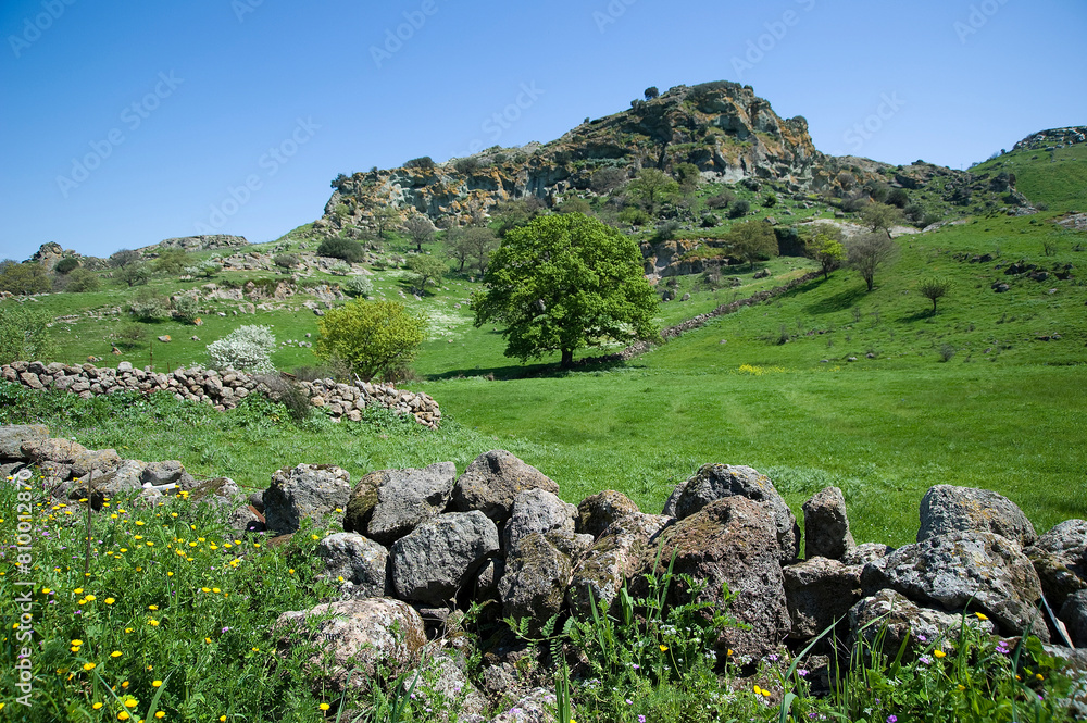 landscape with trees Rock and sky Valle dei vulcani. Logudoro meilogu. Bonorva. SS, Sardegna. Italy landscape with trees Rock and sky Valle dei vulcani. Logudoro meilogu. Bonorva. SS, Sardegna. Italy