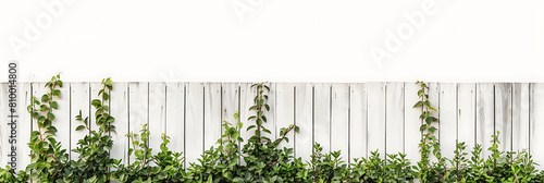 Fence horizontal bottom border background, boundaries show the protection of areas and colonies