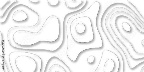 Abstract topographic contours map background, White wave paper curved reliefs abstract background. Topographic line contour map background, geographic grid map.