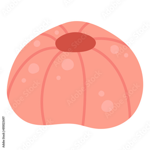 Coral vector illustration doodle drawing, isolated marine coral plant in shades of pink and orange color.