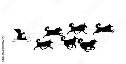 Dog team in the race. Vector silhouette image.