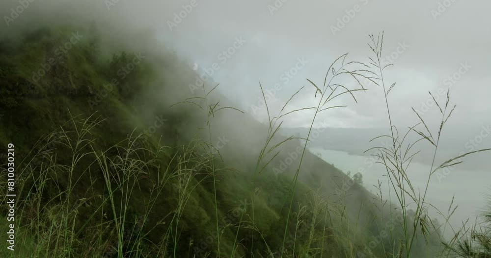 Ethereal mountain fog video with tall grass, ideal for nature projects Ethereal mountain fog video with tall grass, ideal for nature projects