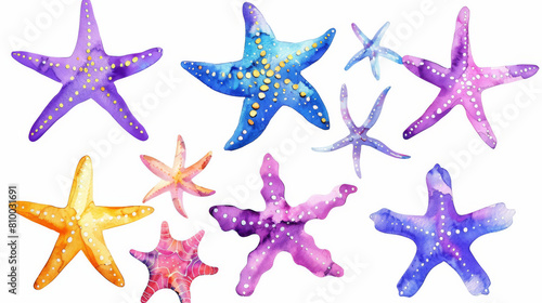 Colorful starfish with different colors and sizes  watercolor painting.
