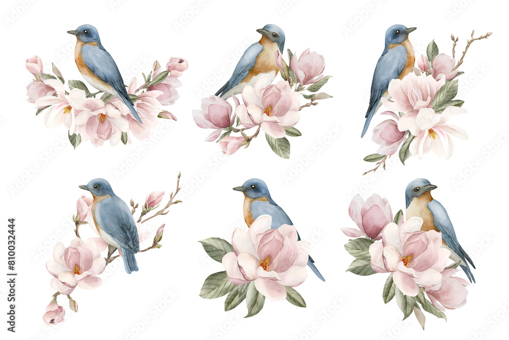 Blue birds on a branches with light pink magnolia flowers. Set of watercolor illustrations hand painted isolated Blue birds on a branches with light pink magnolia flowers. Set of watercolor illustrations hand painted isolated