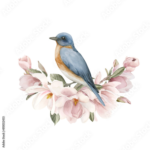 Blue bird on a branch with light pink magnolia flowers. Watercolor illustration for print, label, logo or packaging.