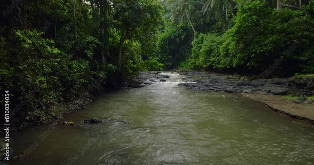 River in tropical green rainforest, 4K Aerial drone top view shot River in tropical green rainforest, 4K Aerial drone top view shot