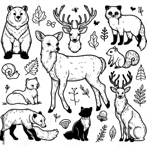 Woodland Animal Outlines, Coloring SVG Clipart, Kid Party Coloring Activity, Clipart Stamp, Bear Fox Squirrel Deer Elk, black and white1.svg photo