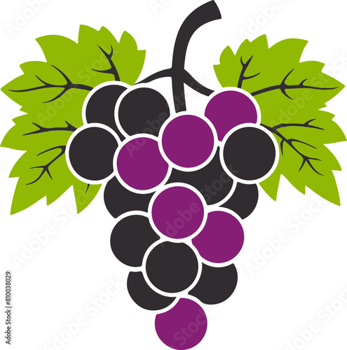 Colorful Grape Cluster with Green Leaves, Vector Illustration for Food and Drink