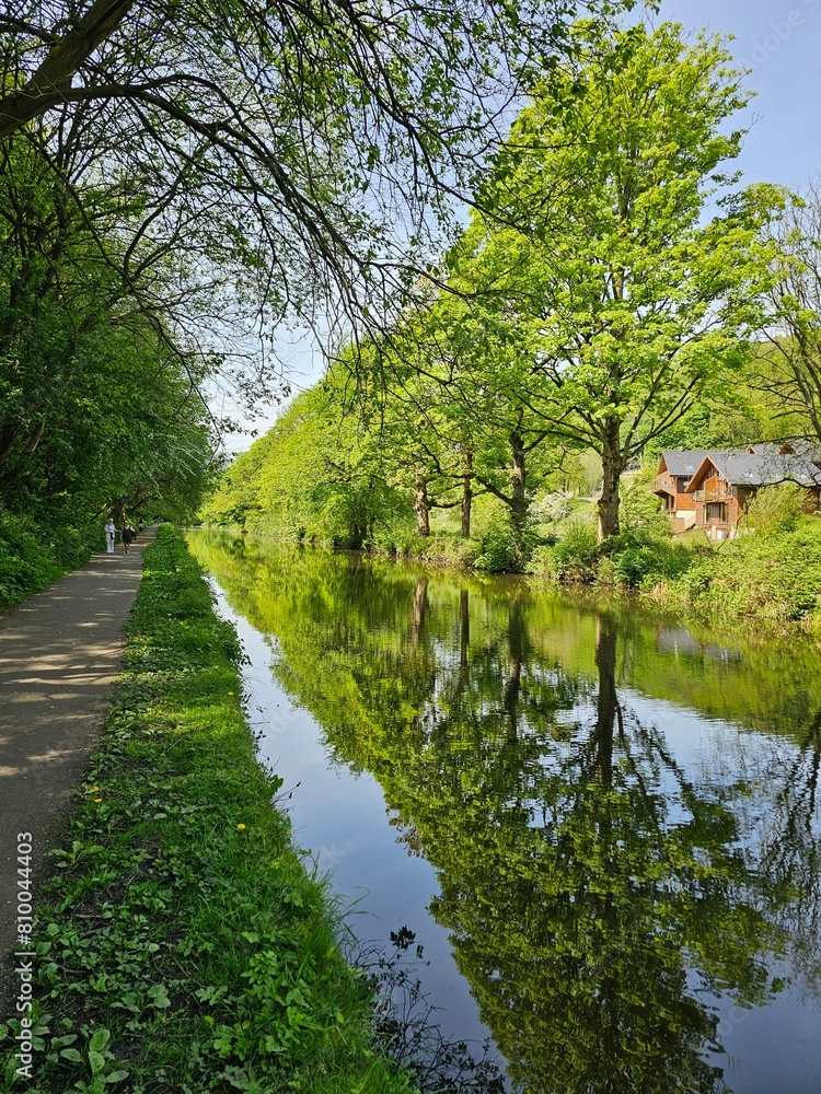Canal in the forest Canal in the forest