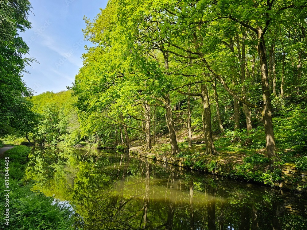 Canal in the forest