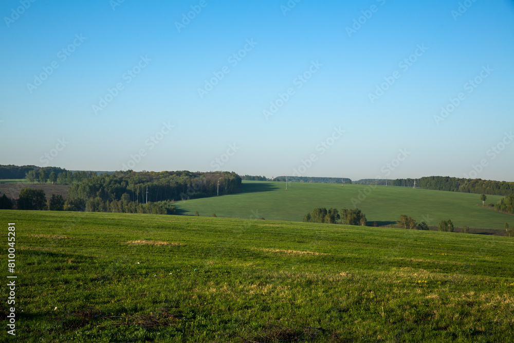 A lush green field with trees, set against a backdrop of blue sky