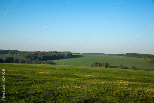 A lush green field with trees  set against a backdrop of blue sky