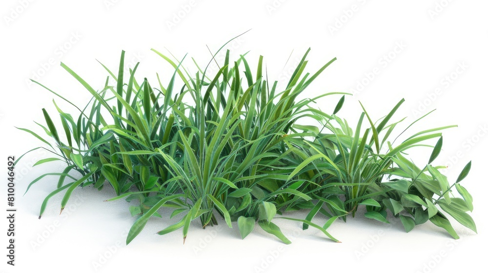 Flourishing Green Oasis in a Blank Canvas Flourishing Green Oasis in a Blank Canvas