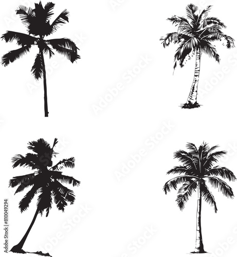 Set of palm Trees isolated on white background 