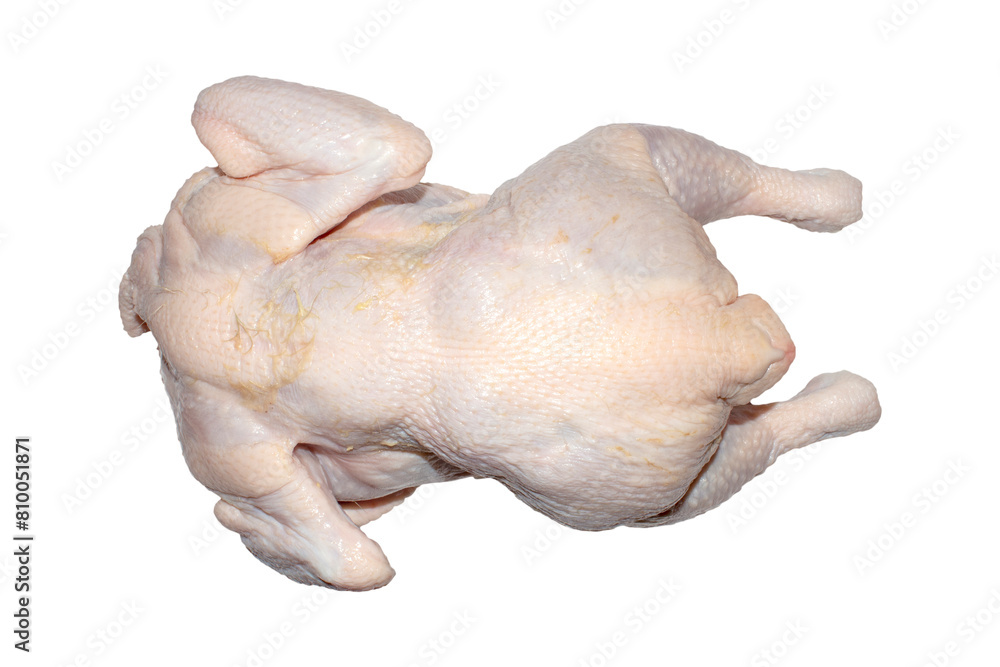 Fresh plucked chicken on a white background.A chicken carcass on a white background. Fresh plucked chicken on a white background.A chicken carcass on a white background.