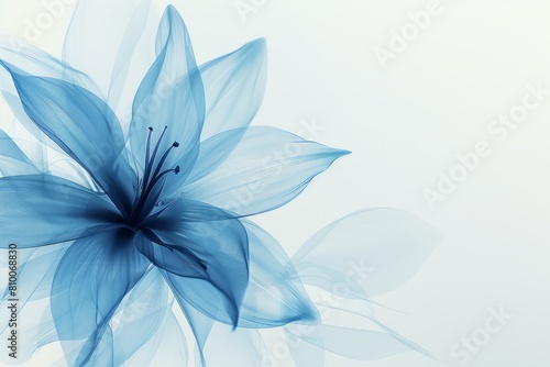 translucent lily flower bud with space for congratulations.