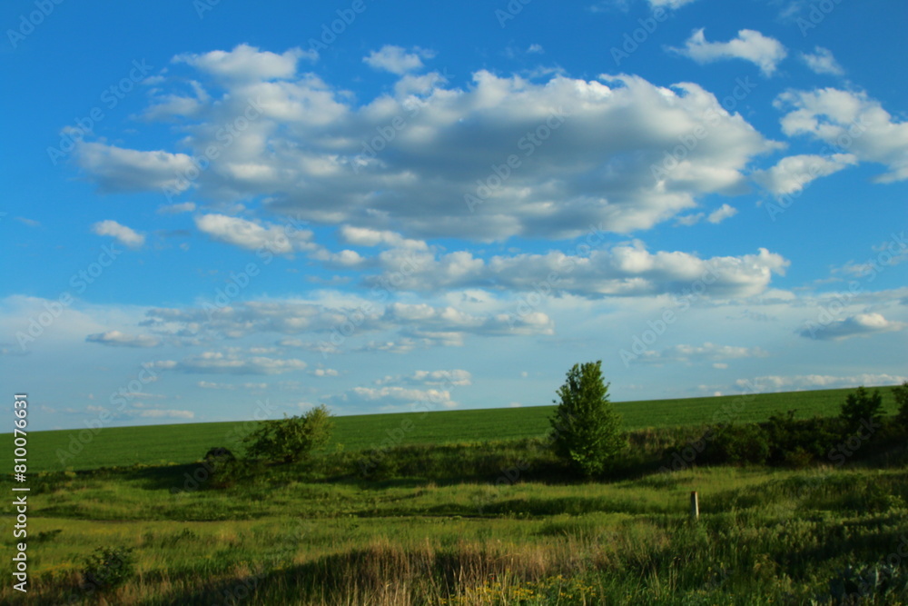 A grassy field with trees and blue sky A grassy field with trees and blue sky