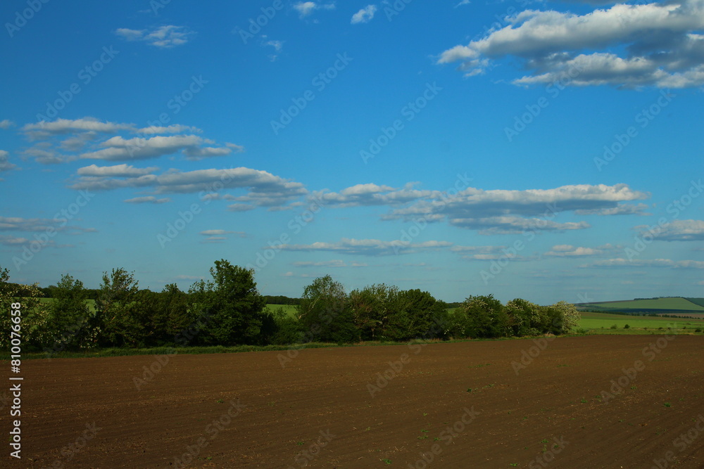Fototapeta premium A dirt road with trees and blue sky