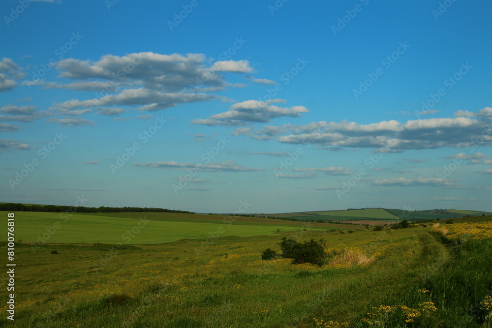 A grassy field with blue sky and clouds A grassy field with blue sky and clouds