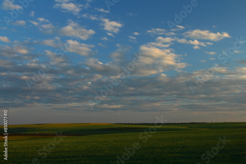 A field of green grass