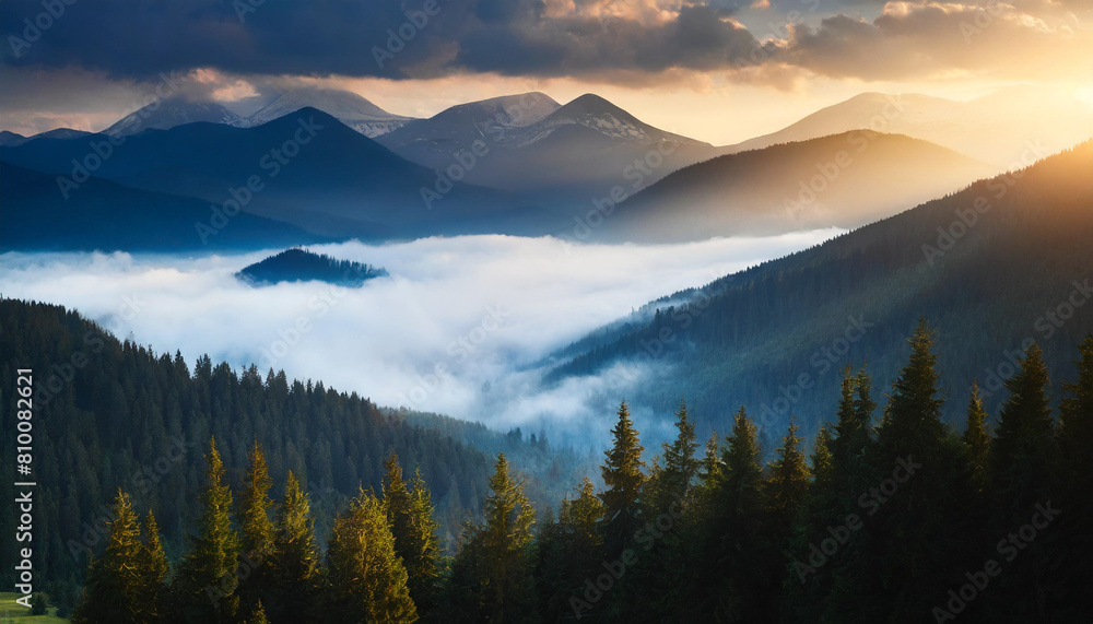 Majestic aerial view of misty fir forest nestled amidst fog-covered mountains, evoking serenity and natural beauty