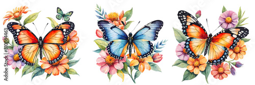 Set of butterfly collection colored. Set of beautiful butterflies watercolor isolated on white background. Orange, pink, green and blue, butterfly vector illustration   © Sanita