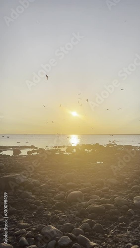 vertical sunset video on the beach. Saint Petersburg, sestroretsk photo