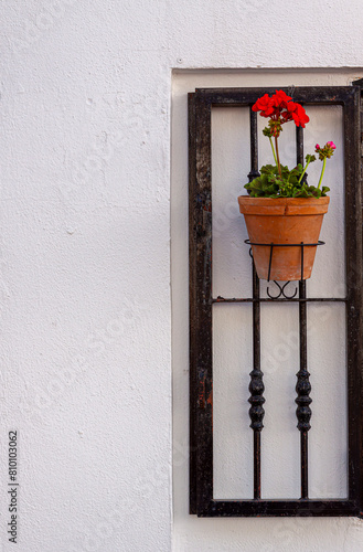 Bluemntopf mit Geranie an einer weißen Hauswand, Vejer, Andalusien, Spanien