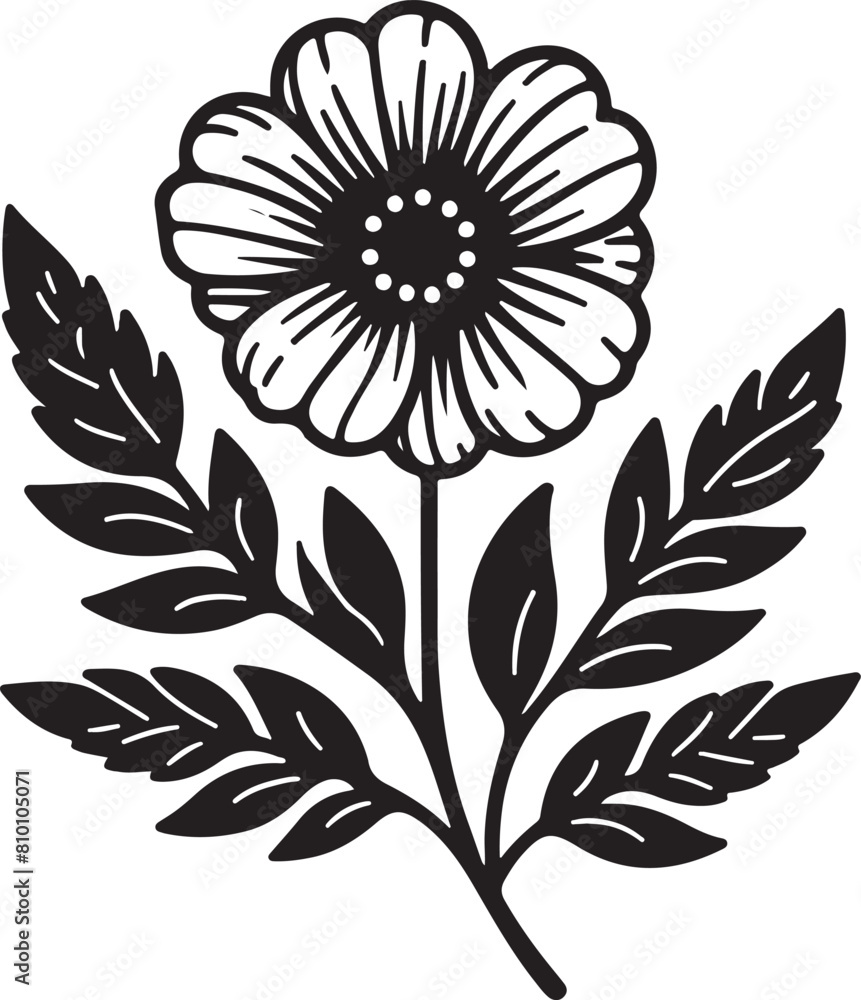 black and white flower black and white flower