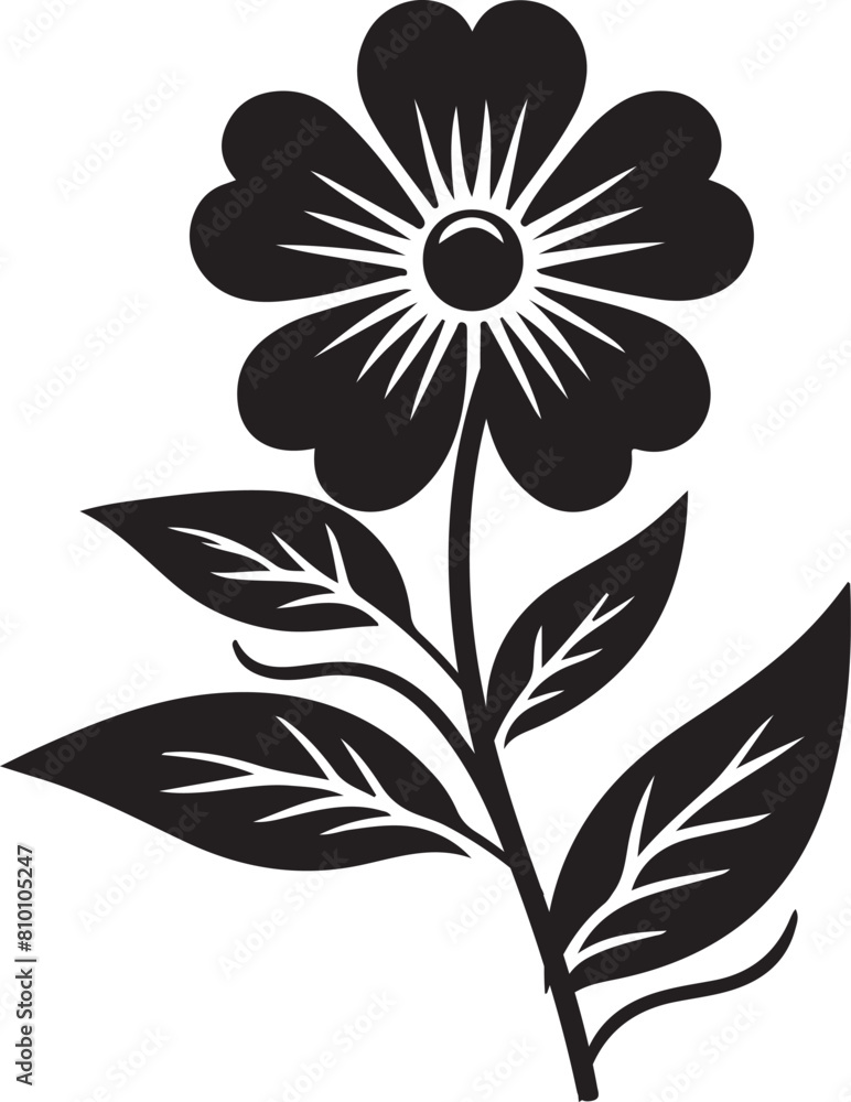 black and white flower black and white flower