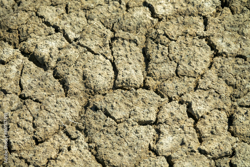 Salty clay earth background