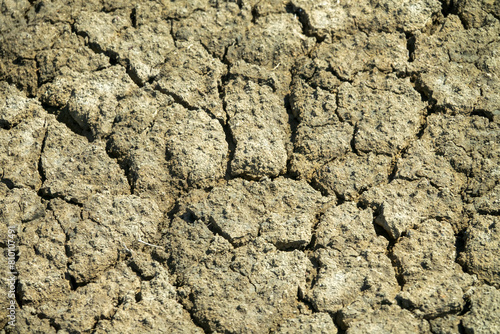 Fotografija Salty clay earth background