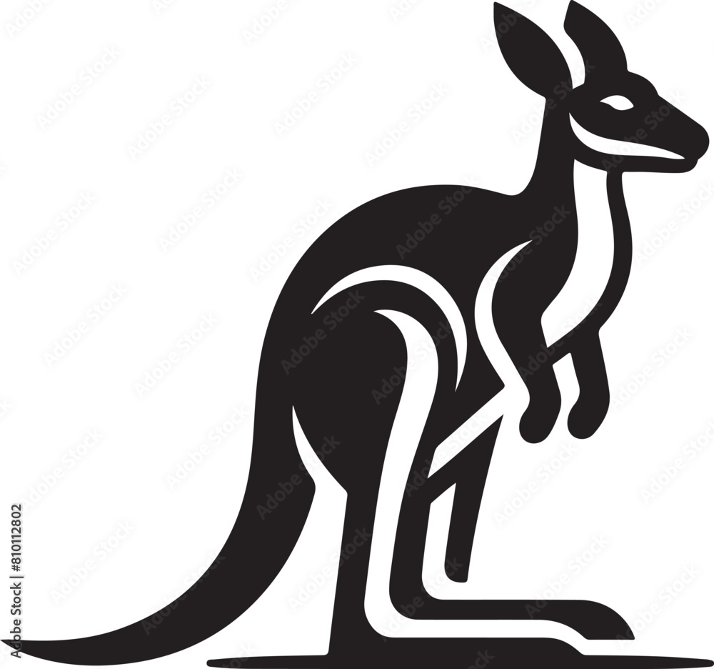 kangaroo illustration kangaroo illustration