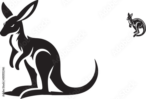 kangaroo illustration