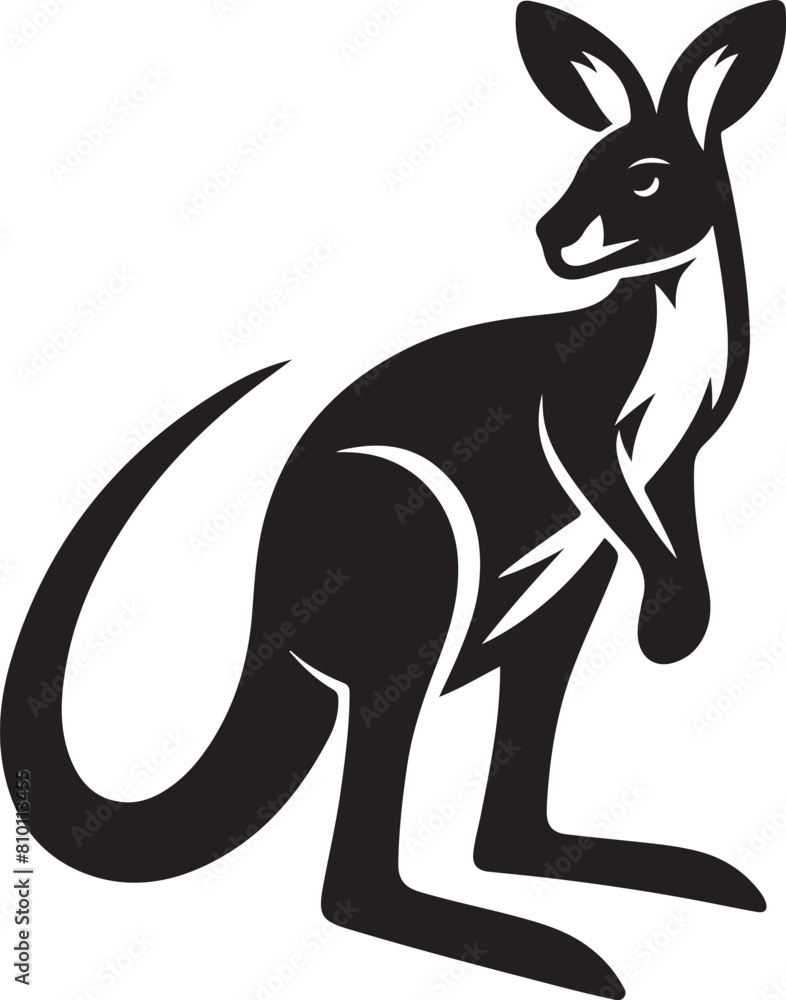 kangaroo illustration kangaroo illustration