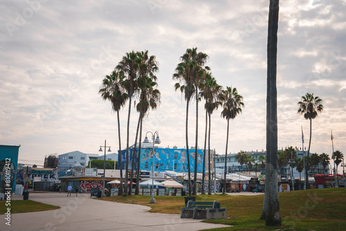 Venice Beach, Los Angeles showcases a tranquil scene on a cloudy day. Palm trees, graffiti adorned buildings, and flags create a colorful urban beach vibe. photo