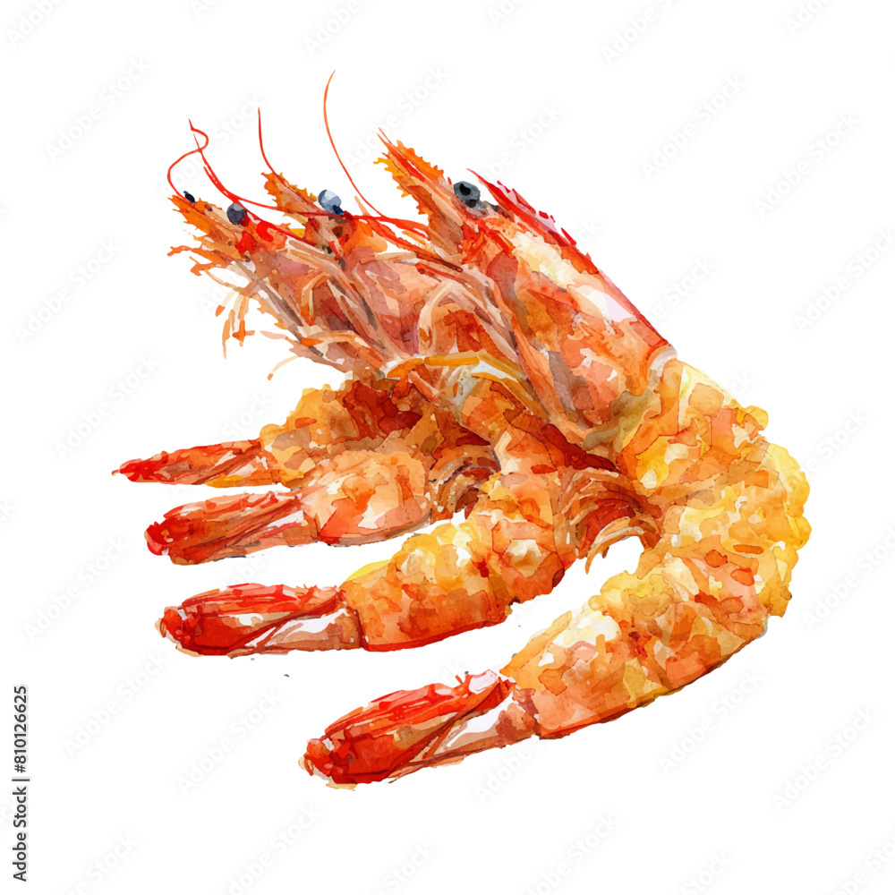 fried shrimp vector illustration in watercolor style