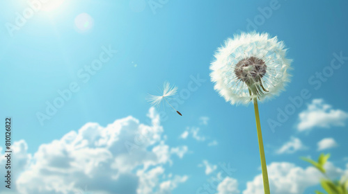 A dandelion seed floats away from the flower head against a backdrop of a clear blue sky dotted with fluffy white clouds.