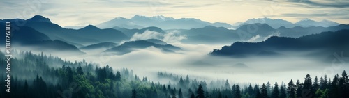 Misty mountain landscape with pine forest