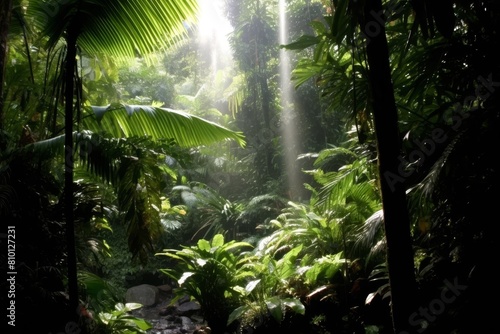 Lush tropical rainforest landscape with sunbeams