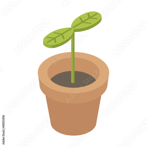Sprout in clay pot - hand drawn isometric vector illustration.