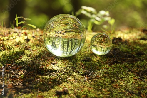 Beautiful green trees outdoors  overturned reflection. Crystal balls in forest