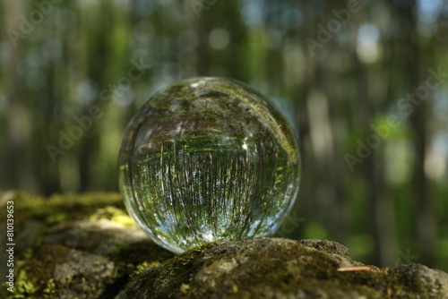 Beautiful green trees outdoors  overturned reflection. Crystal ball on stone with moss in forest
