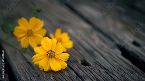  A yellow flower arrangement sits atop a wooden table, accompanied by a green, leafy plant on the same table