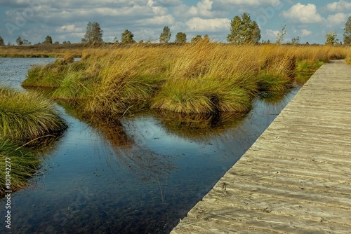 Obraz na płótnie Die Moorlandschaft des Hohen Venn w salonie
