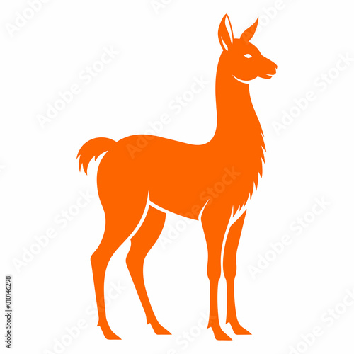 Vicuna vector silhouette  © Chayon Sarker