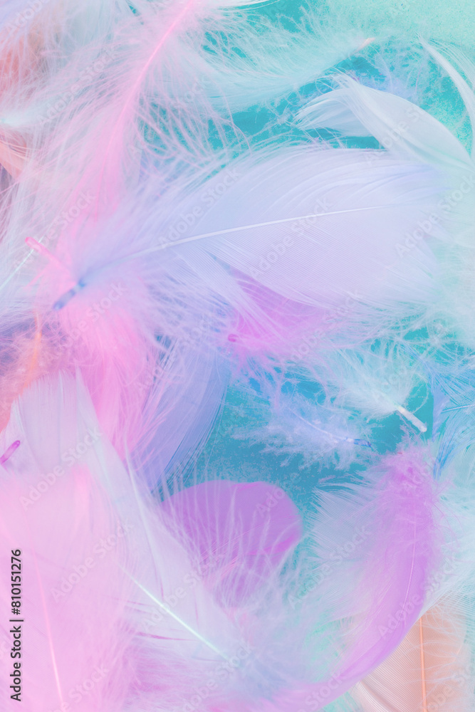 Colorful feather background, top view. Colorful feather background, top view.