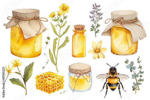 Set of yellow honey bee and honeycomb fields herbs flowers vector illustration